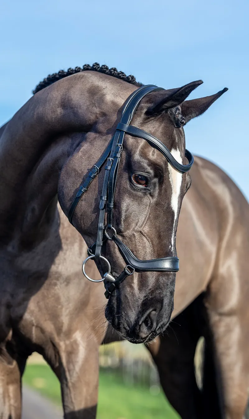 LeMieux Arika Drop Bridle in Black and Silver